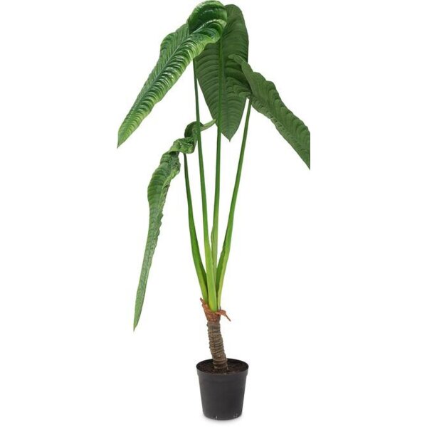 Alocasia Calidora Kunstpflanze, 180 cm