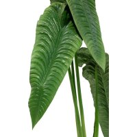 Alocasia Calidora - Elefantenohr Kunstpflanze, 180 cm