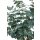Eukalyptus Kunstpflanze 90 cm, getopft