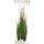 Zwiebelgras Kunstpflanze, dicht gewachsen, 152 cm, beige