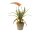Aloe Kunstpflanze, 143 cm