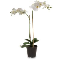 Schmetterlingsorchidee - Phalaenopsis Kunstpflanze 71 cm,...