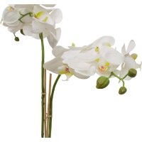 Schmetterlingsorchidee - Phalaenopsis Kunstpflanze 71 cm, getopft