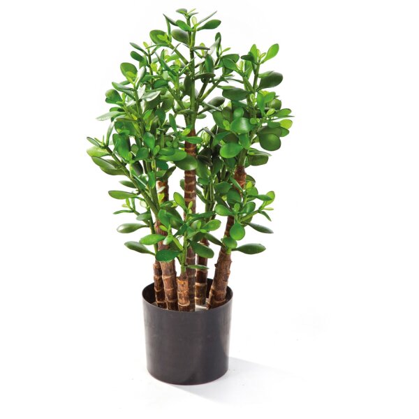 Geldbaum Crassula Ovata, Kunstpflanze, 60 cm