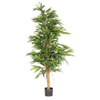 Longifolia Royal Natural Kunstpflanze, 150 cm | L: 50 B: 50 H: 150 | grün-braun
