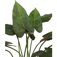 Anthurium Kunstpflanze 81 cm