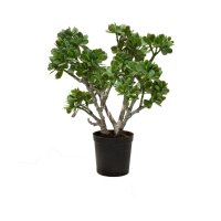 Jadebaum Crassula Ovata Kunstpflanze, 56 cm