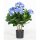 Hortensie Kunstpflanze, 53 cm, blau | L: 53 B: 53 H: 55 | grün-blau
