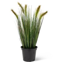 Foxtail Gras Kunstpflanze, Höhe 60 cm, getopft | L:...