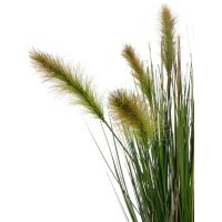 Foxtail Gras Kunstpflanze, Höhe 60 cm, getopft | L: 24 B: 24 H: 60 | grün-gelb