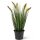 Fuchsschwanzgras - Alopecurus Kunstpflanze, Höhe 60 cm, getopft