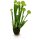 Kobralilie - Darlingtonia Kunstpflanze, 55 cm