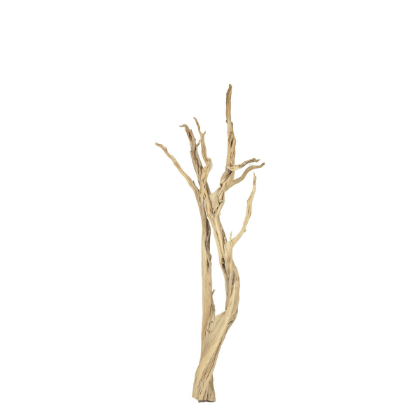 Ghostwood, sandgestrahlt, verzweigt, 90-100 cm | sandgestrahlt