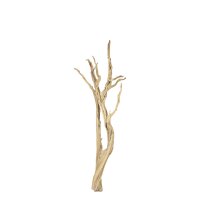 Ghostwood, sandgestrahlt, verzweigt, 90-100 cm |...