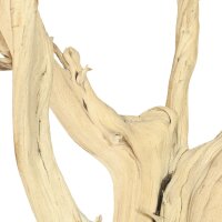 Ghostwood, sandgestrahlt, verzweigt, 90-100 cm | sandgestrahlt