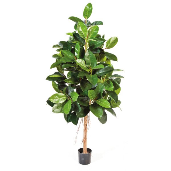 Ficus Elastica Kunstpflanze, 180 cm | L: 60 B: 60 H: 180 | grün