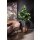 Ficus Elastica grün - Gummibaum Kunstpflanze, 180 cm
