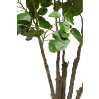 Fiederaralie Polyscias Kunstpflanze 116 cm, getopft