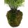 Frauenhaarfarn Adiantum capillus-veneris Kunstpflanze, 90 cm