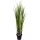 Zuckerrohr Kunstpflanze, Höhe 122 cm