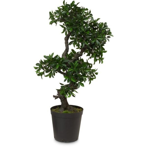 Ficus Bonsai Kunstpflanze, 95 cm