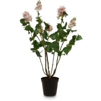 Lilac Kunstpflanze Höhe 79 cm