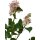 Flieder - Syringa vulgaris Kunstpflanze Höhe 79 cm