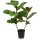 Geigenfeige Ficus Lyrata, Kunstpflanze 107 cm