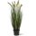 Foxtail Gras Kunstpflanze, Höhe 90 cm, getopft | L: 40 B: 40 H: 90 | grün-gelb
