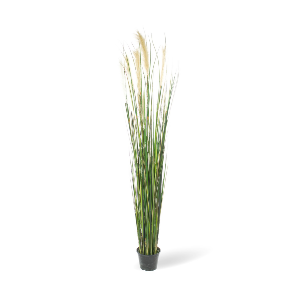 Rohrkolben (typha) Kunstpflanze, Höhe 183 cm, getopft | L: 20 B: 20 H: 183 | grün