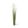 Rohrkolben (typha) Kunstpflanze, Höhe 183 cm, getopft | L: 20 B: 20 H: 183 | grün