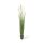 Rohrkolben - Typhaceae Kunstpflanze, Höhe 183 cm, getopft
