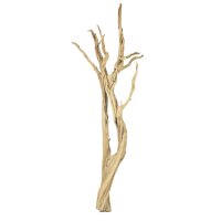 Ghostwood, sandgestrahlt, verzweigt, 150-175 cm |...