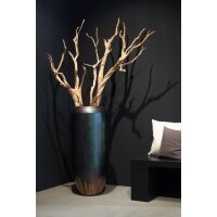 Ghostwood, sandgestrahlt, verzweigt, 150-175 cm