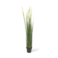 Rohrkolben (typha) Kunstpflanze, Höhe 152 cm, getopft | L: 20 B: 20 H: 152 | grün
