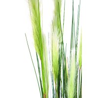 Rohrkolben (typha) Kunstpflanze, Höhe 152 cm, getopft | L: 20 B: 20 H: 152 | grün