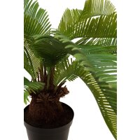 Palmfarn Cycas Kunstpflanze 59 cm