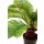 Cycas Kunstpflanze 59 cm