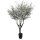 Olivenbaum - Olea europaea Kunstpflanze 245 cm