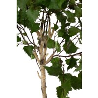 Birkenbaum Kunstpflanze 193 cm, getopft