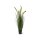 Foxtail Gras Kunstpflanze, Höhe 120 cm, getopft | L: 40 B: 40 H: 120 | grün-gelb