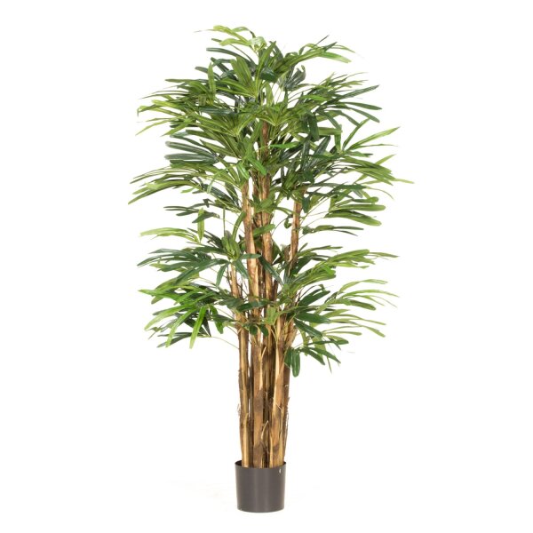 Raphis - Steckenpalme Kunstpflanze, 150 cm