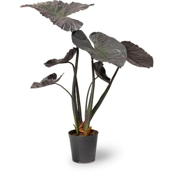 Alocasia Kunstpflanze, 121 cm