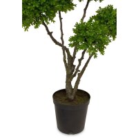 Boxwood Tree Kunstpflanze 91 cm