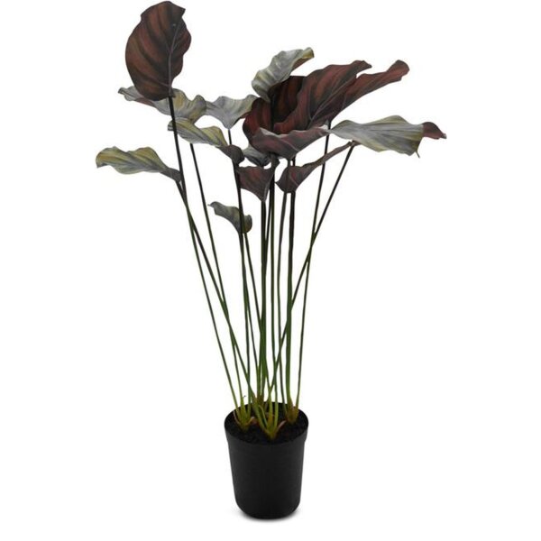 Calathea Kunstpflanze, 90 cm