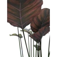 Calathea - Korbmarante Kunstpflanze, 90 cm