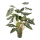 Alocasia Kunstpflanze, H 110