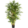 Bamboo Kunstpflanze, H 180
