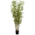 Bamboo oriental Kunstpflanze, H 130