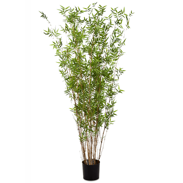 Bamboo oriental Kunstpflanze, H 190